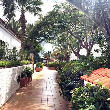 Libelula En Parque Don Jose Apartment Costa Del Silencio